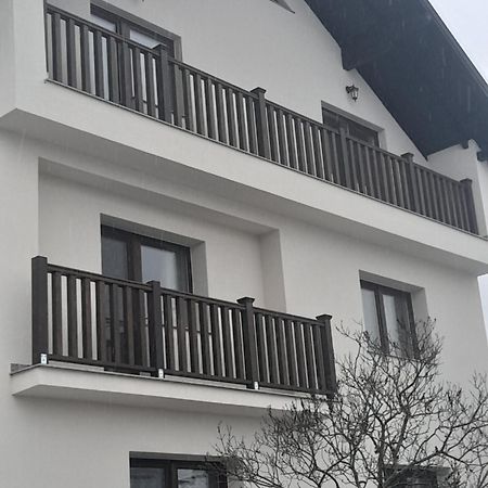 Casa Carmen Hotel Poienile Izei Exterior foto