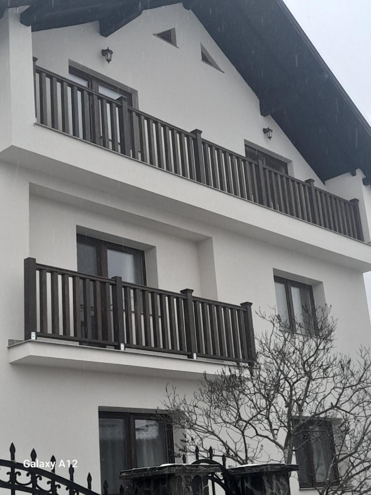 Casa Carmen Hotel Poienile Izei Exterior foto